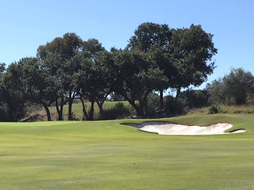 Tree preservation and root protection during construction - Uhl Arbor Care San Antonio TX