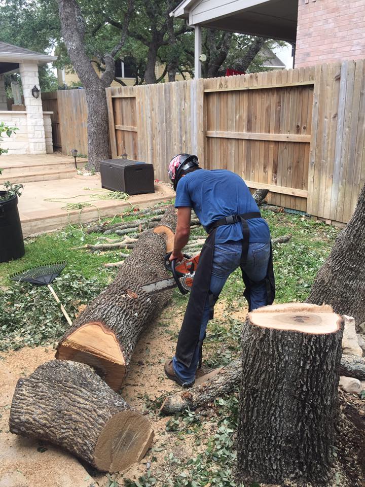 Tree removal service with equipment - Uhl Arbor Care San Antonio TX