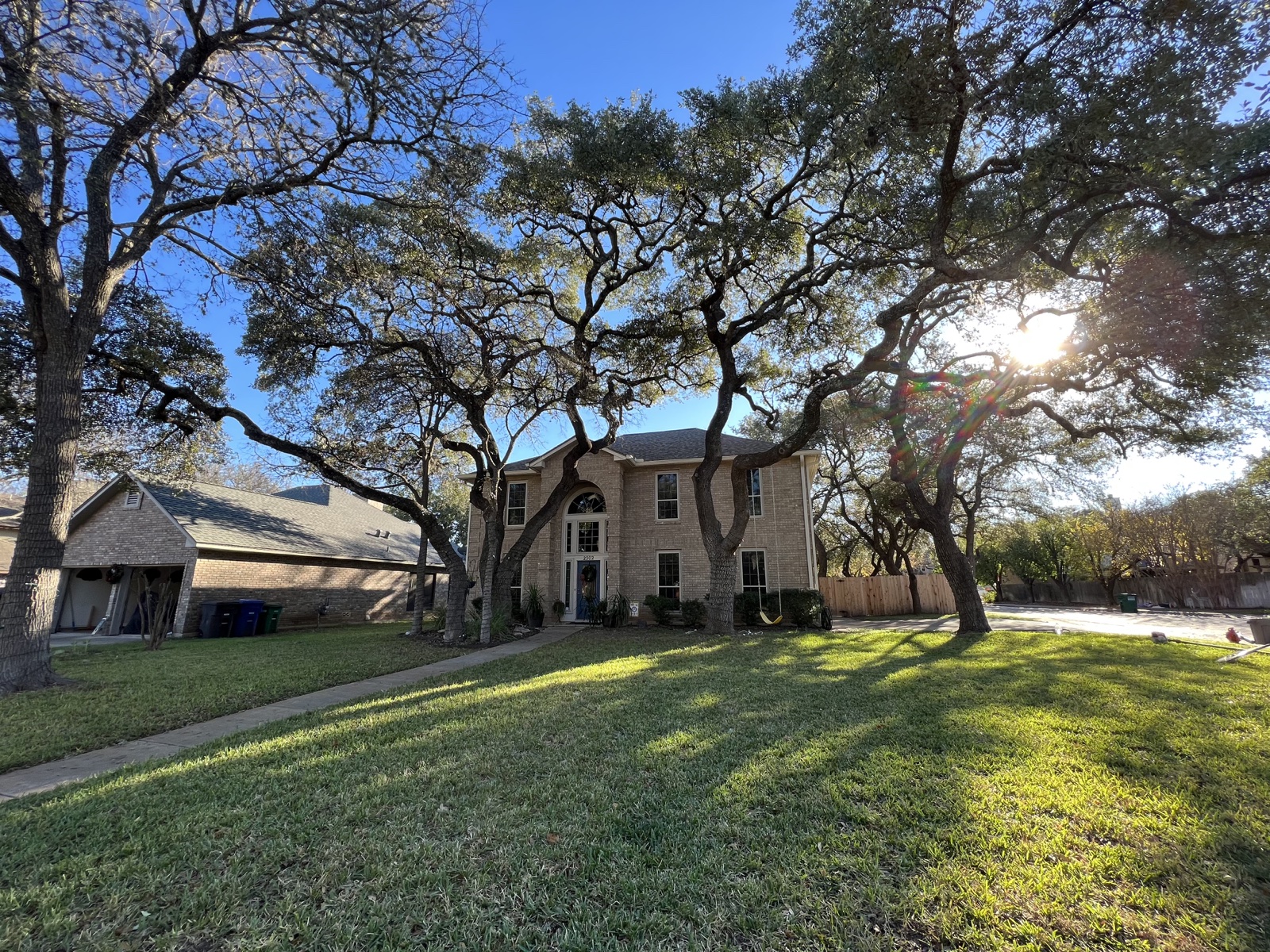 Room for your home — Oak tree pruning