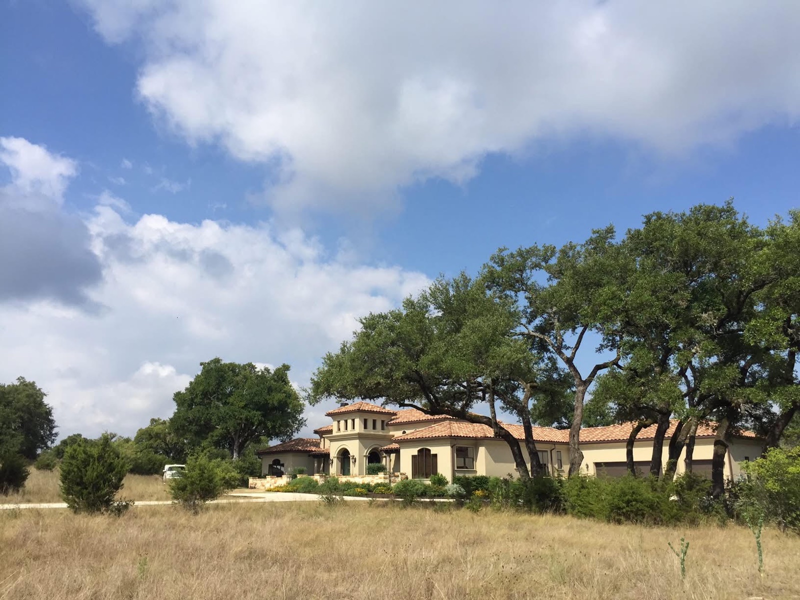 Selective clearing — Cordillera Ranch